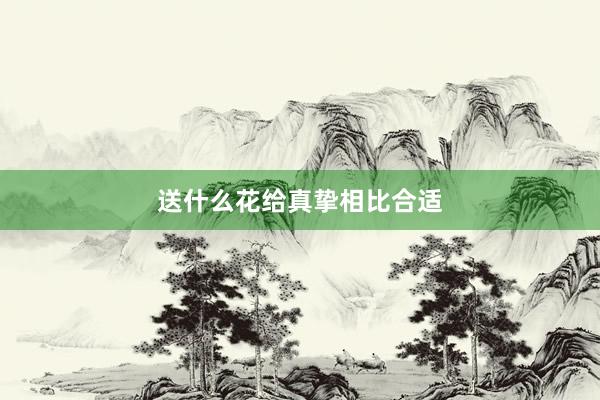 送什么花给真挚相比合适