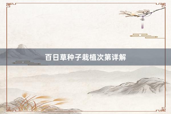 百日草种子栽植次第详解